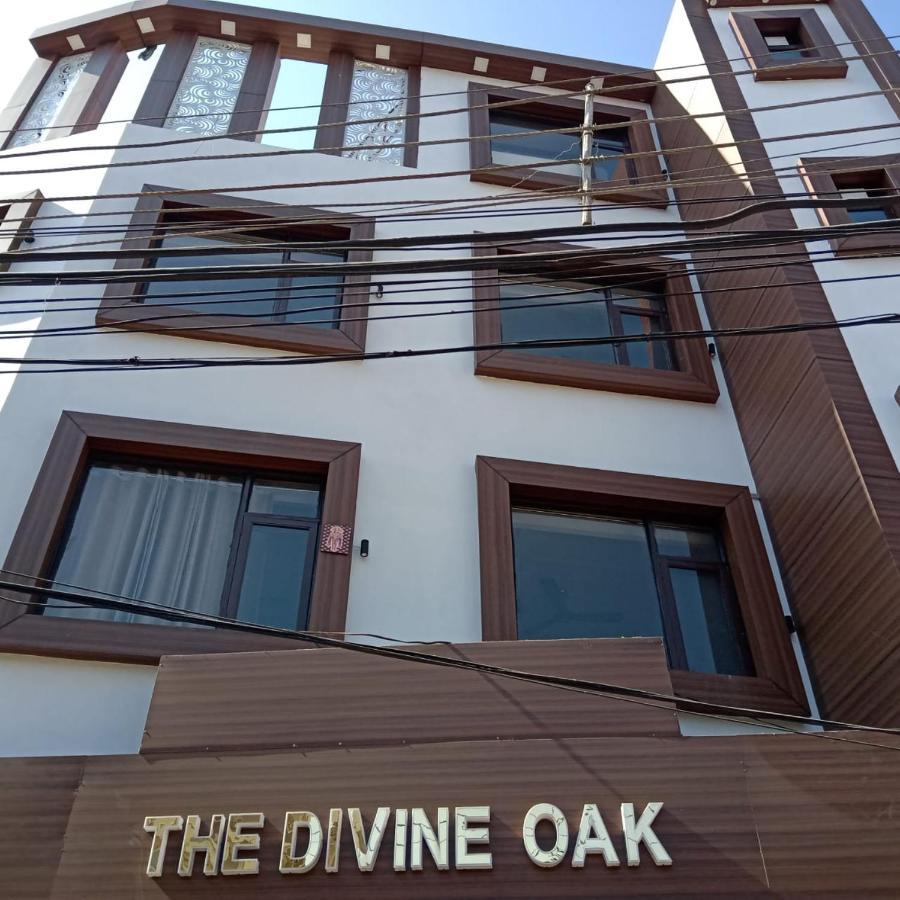 The Divine Oak Hotel Katra  Exterior foto
